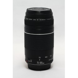 Canon EF 75-300mm f/4-5.6 III