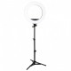Tripé de Iluminação 3 secções - 40/90cm